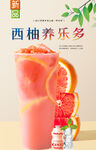 西柚养乐多 