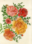花
