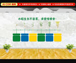 爱惜粮食文化墙
