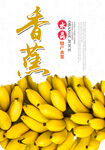 香蕉