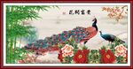 孔雀图