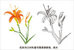 黄花菜