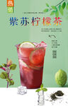 紫苏柠檬茶