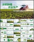 水稻农田绿洲大米农业PPT模板