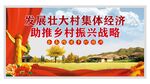 全面推进乡村振兴