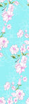 大牌花