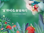 草莓采摘