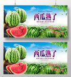 西瓜熟了