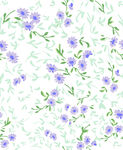 花花