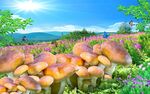 蘑菇风景背景墙