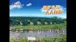 保护湿地封面设计