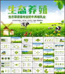 生态牧场畜牧业养殖牛群PPT