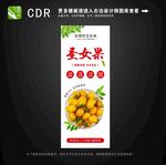 圣女果海报图片