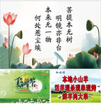 夏至时节荷花海报