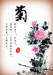 水墨画菊花  