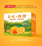 橙子包装 鲜橙礼盒