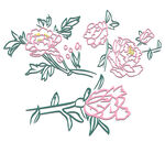 立体素描花卉素材