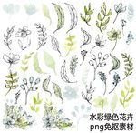 水彩绿色花卉