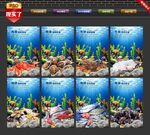 海鲜大咖
