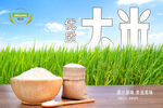 大米上市广告kv