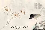 中国画荷花