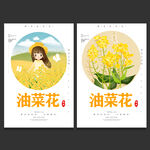 油菜花