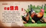 烧鸡展板