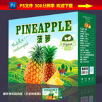 菠萝包装