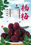 杨梅