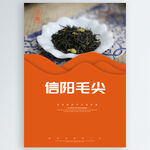 信阳毛尖