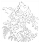 花鸟