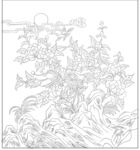 牡丹