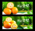 金桔
