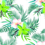 花草