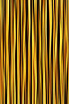 金色木纹
