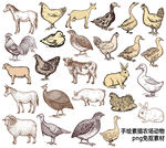 手绘素描农场动物