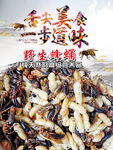 蜂蛹