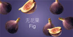 无花果