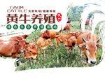 黄牛海报
