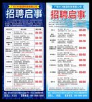 招聘启事
