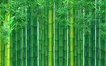 竹林风景壁画背景墙