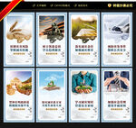 防灾减灾 宣传展板