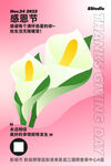 感恩节