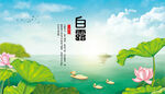 白露节气海报