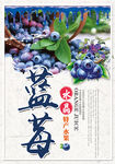 蓝莓