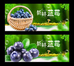 蓝莓