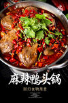 麻辣鸭头海报