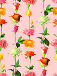 玫瑰花