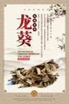 龙葵中药海报