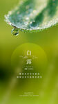 白露秋天